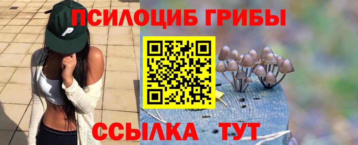 Боровичи  Псилоцибиновые грибы Psilocybine cubensis  Вход с VPN 